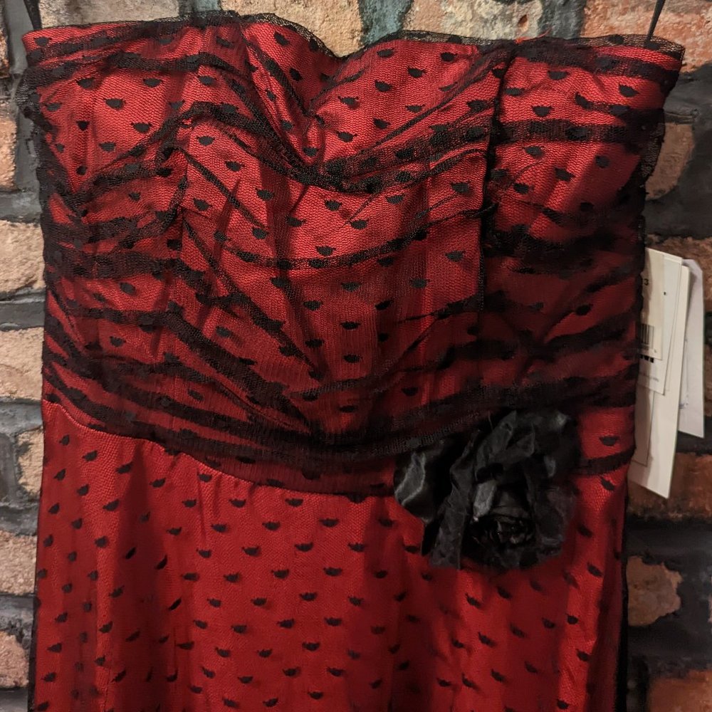 Red and Black Tulle Dress (Scott McClintock / Jessica McClintock)